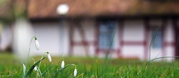 Przygotowanie ogrodu na wiosnę - od czego zacząć?