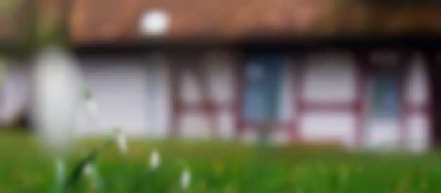 Przygotowanie ogrodu na wiosnę - od czego zacząć?