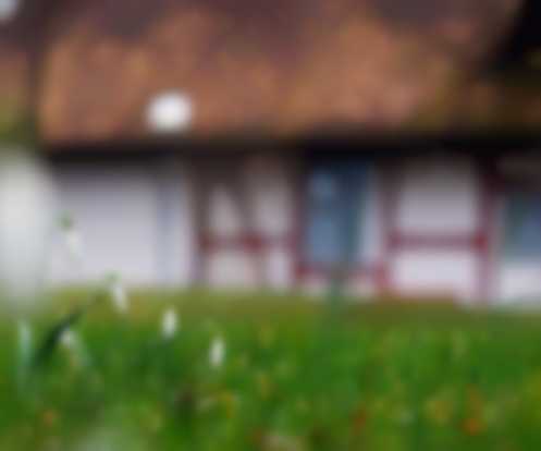 Przygotowanie ogrodu na wiosnę - od czego zacząć?